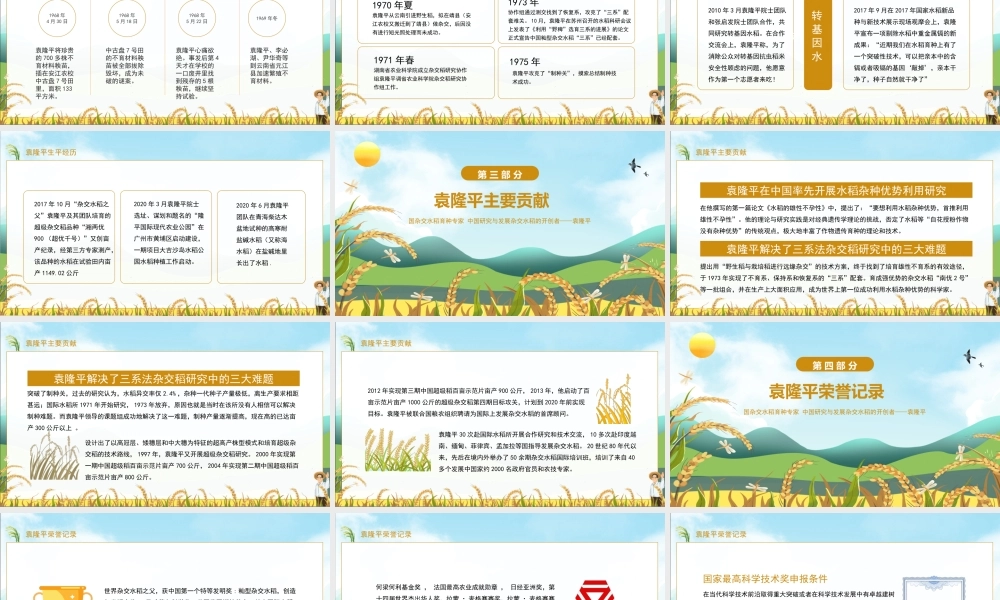 杂交水稻之父袁隆平事迹介绍宣讲课件PPT模板下载.pptx