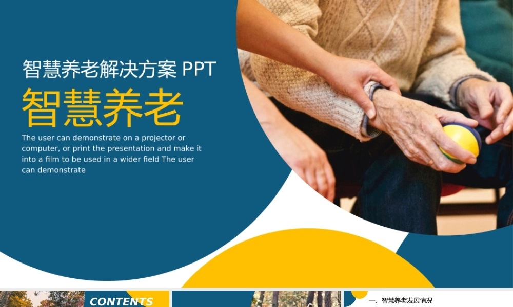 养老解决方案PPT模板下载.pptx