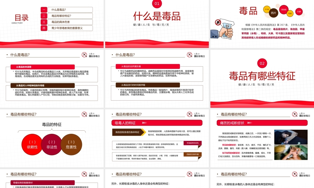 6.26国际禁毒日禁毒知识宣传PPT课件（带内容）.pptx