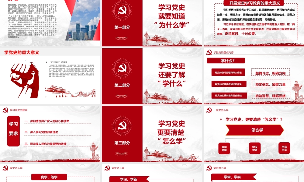党史学习教育党课PPT：党史立心逐梦韶华.pptx
