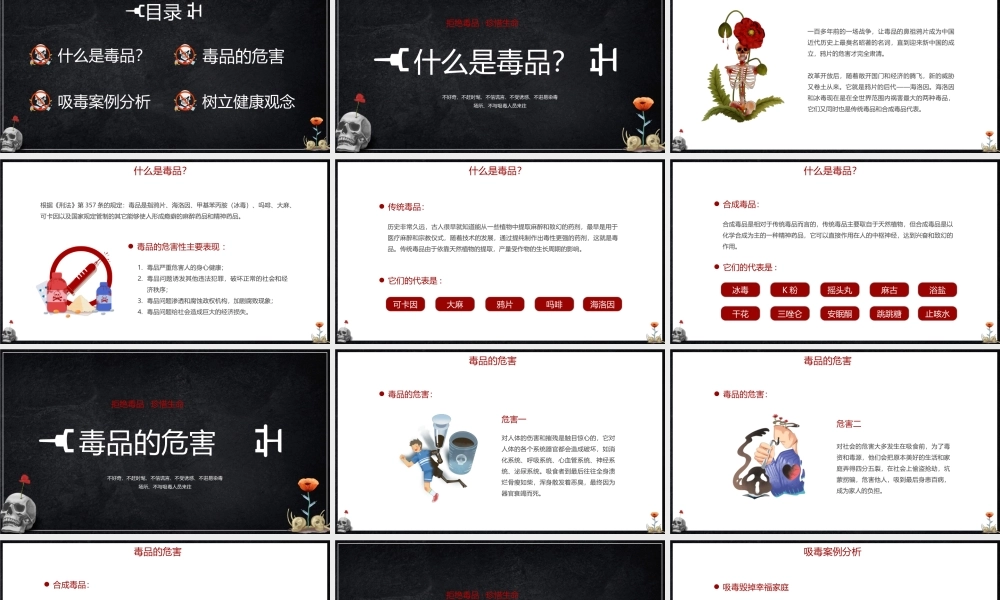国际禁毒日拒绝毒品宣传PPT模板下载.pptx