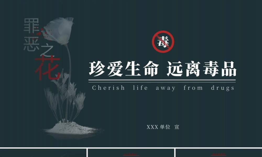 珍爱生命远离毒品世界禁毒日PPT课件（带内容）.pptx