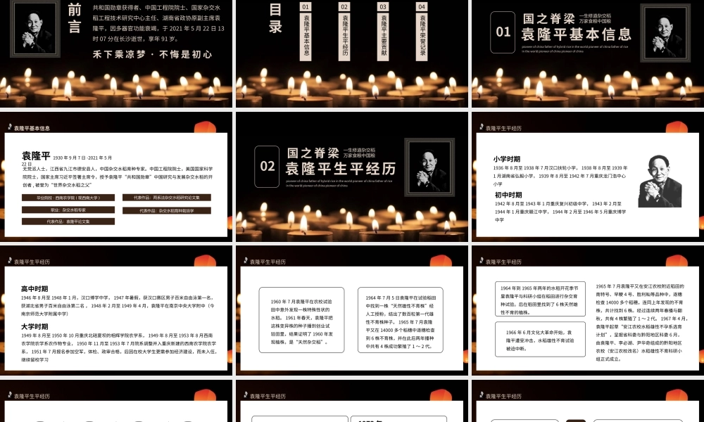 袁隆平生平简介PPT模板下载.pptx