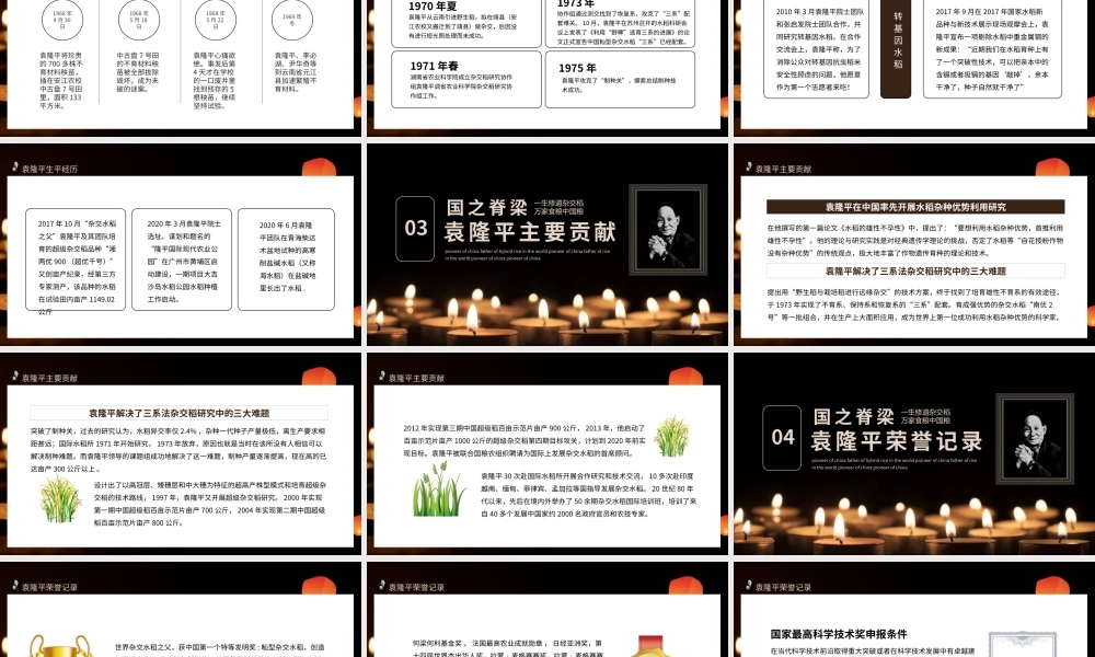 袁隆平生平简介PPT模板下载.pptx