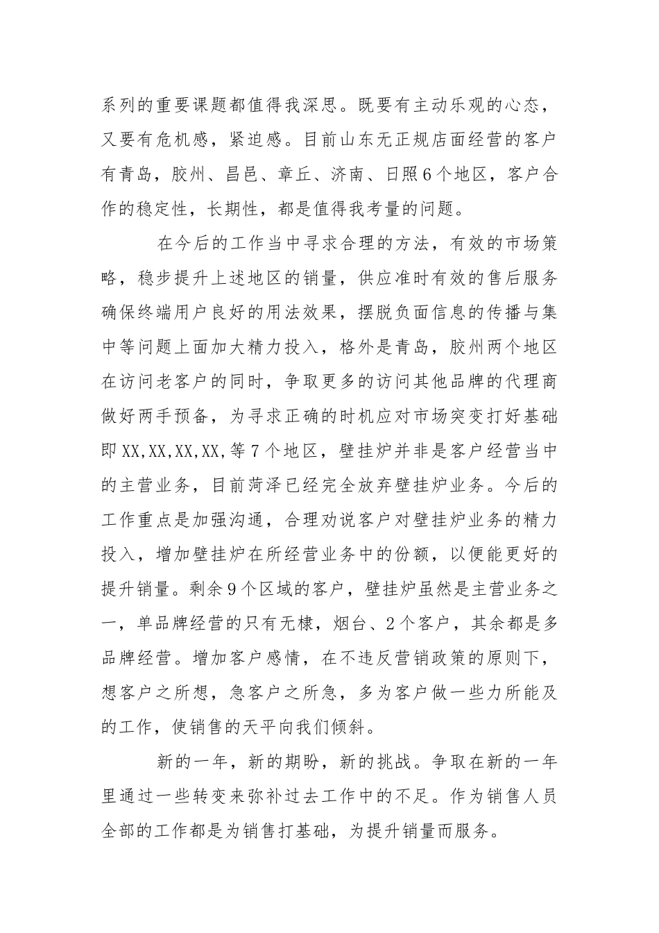 2021年推销员年度总结报告-总结.docx_第2页