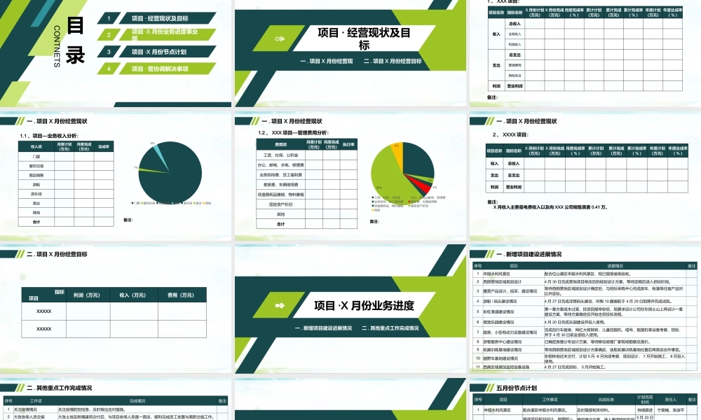 乡村振兴事业部项目经营分析报告PPT课件（带内容）.pptx