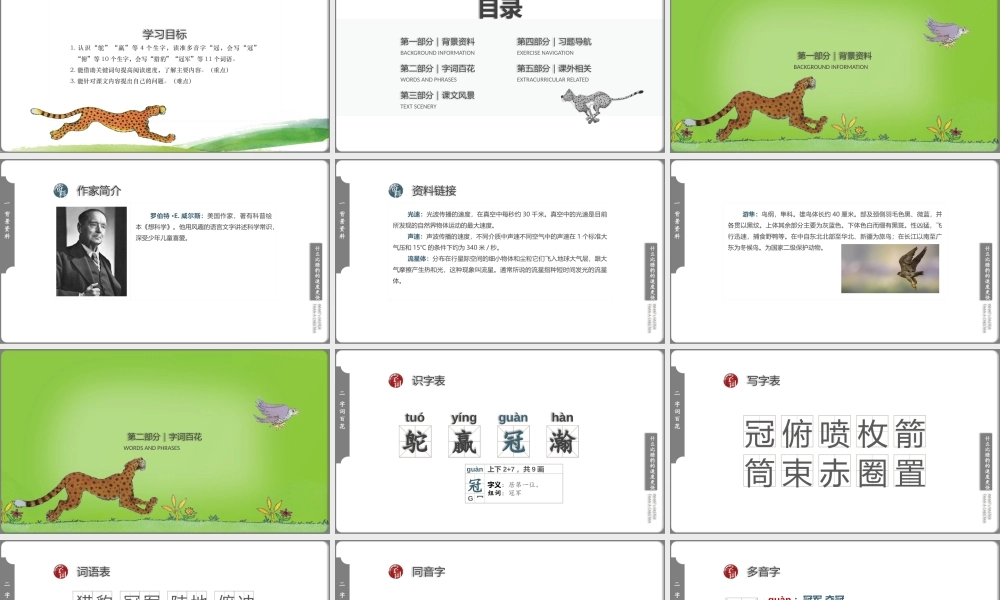 小学语文人教版五年级上册第二单元第7课《什么比猎豹的速度更快》教学PPT课件（带内容）.pptx