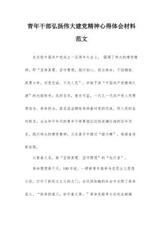 青年干部弘扬伟大建党精神心得体会材料范文.docx