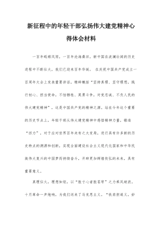 新征程中的年轻干部弘扬伟大建党精神心得体会材料.docx
