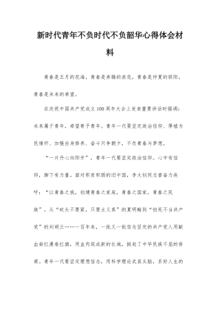 新时代青年不负时代不负韶华心得体会材料.docx