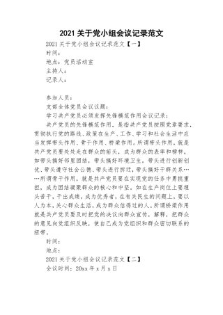 2021关于党小组会议记录范文.doc