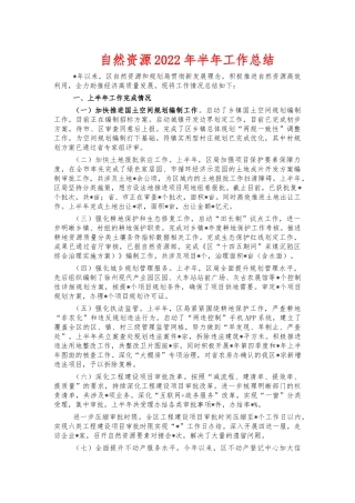 自然资源2022年半年工作总结.docx