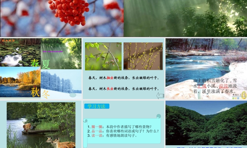 三年级公开课美丽的小兴安岭课件.ppt