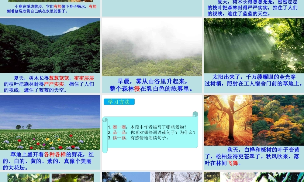 三年级公开课美丽的小兴安岭课件.ppt