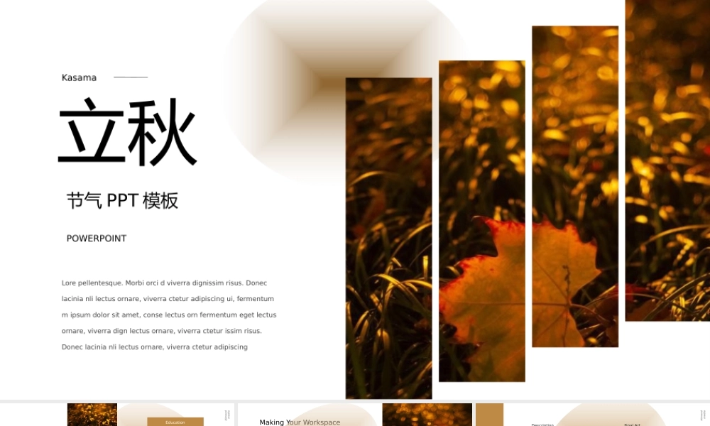 2021年立秋介绍PPT模板下载.pptx