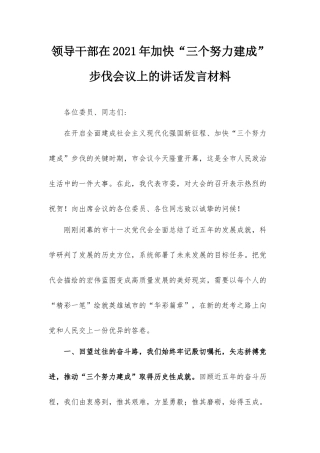领导干部在2021年加快“三个努力建成”步伐会议上的讲话发言材料.docx