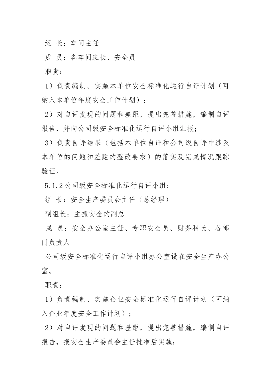 安全标准化自评管理制度.docx_第2页