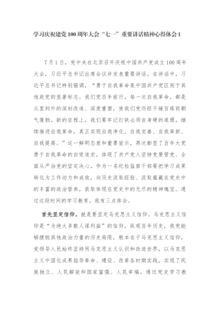 6篇支部党员学习100周年大会“七一”重要讲话伟大建党精神研讨交流发言心得体会范文.docx