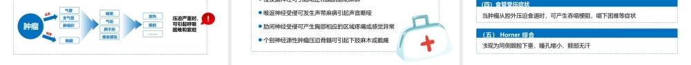 药理学（第9版）十三五教材—原发性纵隔肿瘤PPT课件（带内容）.pptx