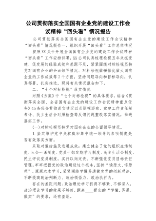 公司贯彻落实全国国有企业党的建设工作会议精神“回头看”情况报告.doc
