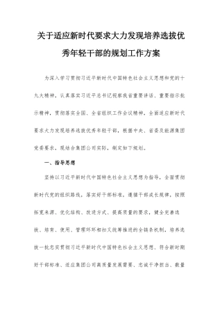 关于适应新时代要求大力发现培养选拔优秀年轻干部的规划工作方案.docx