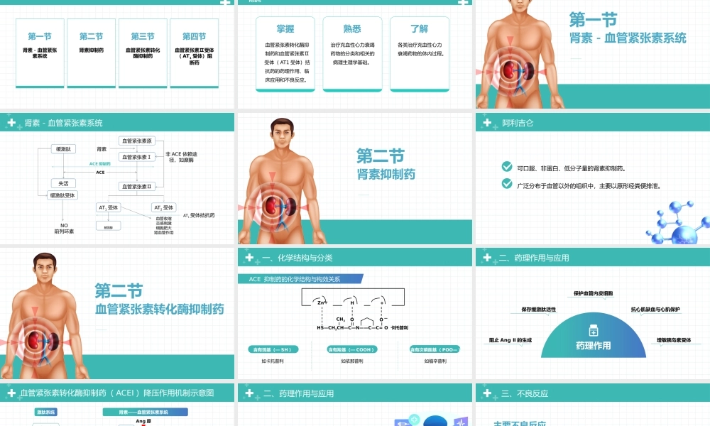 外科学（第9版）十三五教材配套《作用于肾素—血管紧张素系统的药物》PPT课件（带内容）.pptx