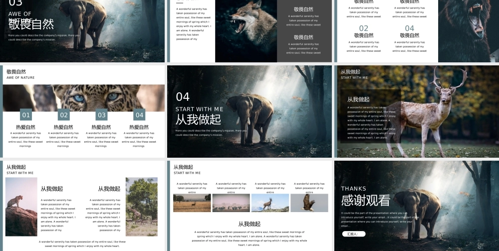 保护自然保护野生动物爱护地球PPT模板下载.pptx