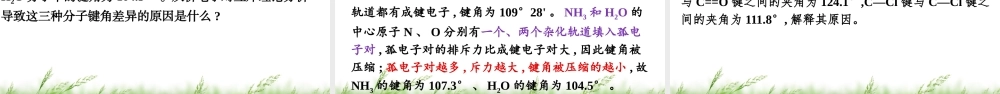 【2022年高考化学复习公开课课件】物质结构与性质《分子空间结构的理论模型》.pptx