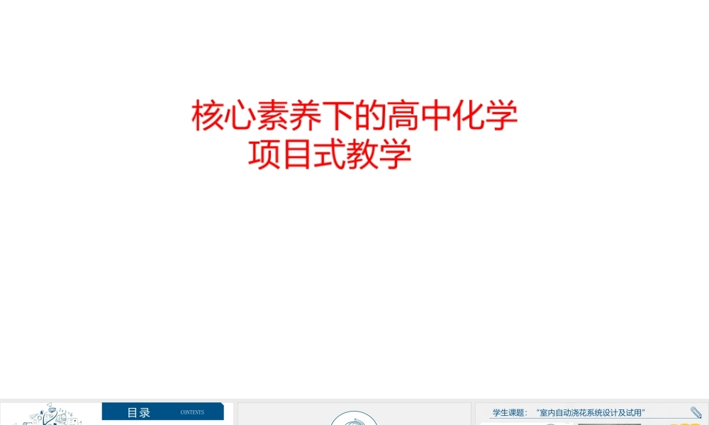 核心素养下的高中化学项目式教学.pptx
