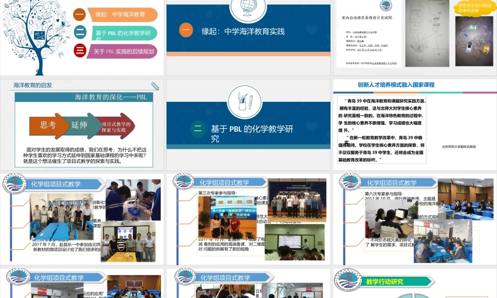 核心素养下的高中化学项目式教学.pptx