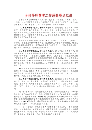 乡村导师帮带工作经验亮点汇报.docx