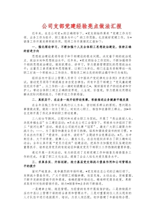 公司支部党建经验亮点做法汇报.docx