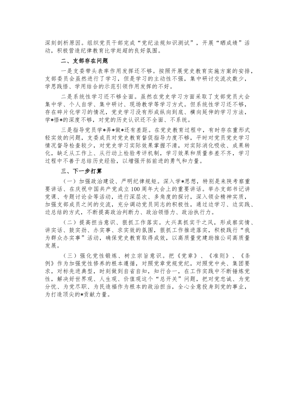 公司支部2021年工作总结.docx_第2页