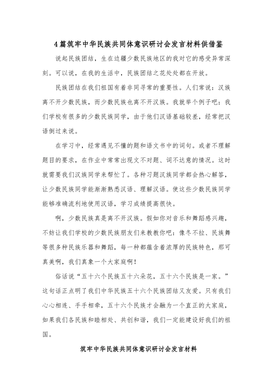 4篇筑牢中华民族共同体意识研讨会发言材料供借鉴.docx_第1页