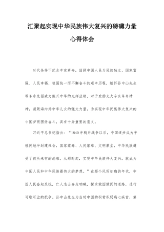 汇聚起实现中华民族伟大复兴的磅礴力量心得体会.docx