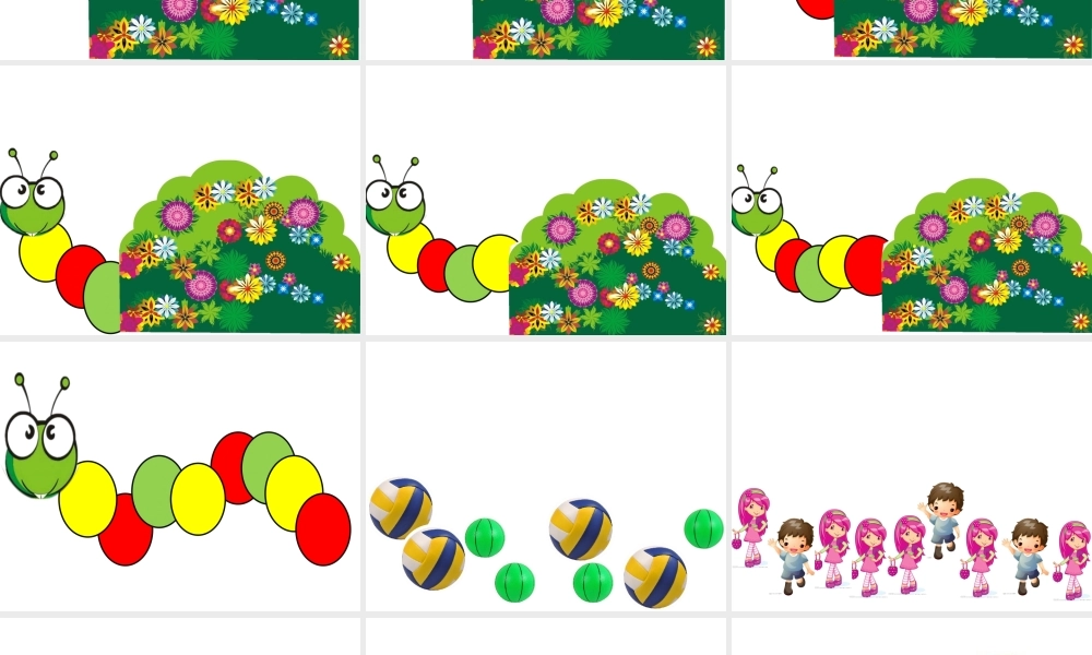 大班科学《排序》微课件.ppt