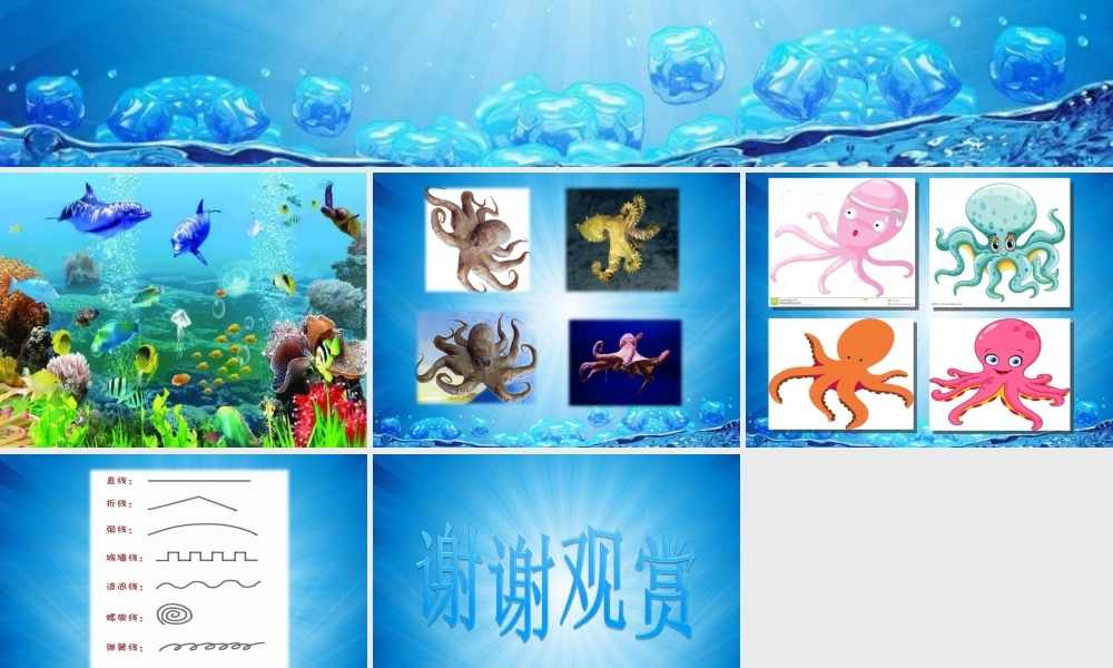 大班艺术《美工：章鱼宝宝穿花衣》微课件.ppt