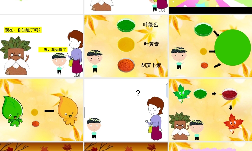 中班科学《秋天的树》微课件.ppt