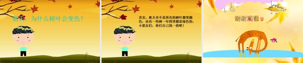 中班科学《秋天的树》微课件.ppt