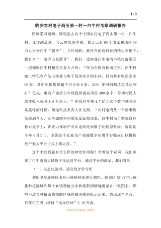 临安农村电子商务第一村—白牛村考察调研报告.docx