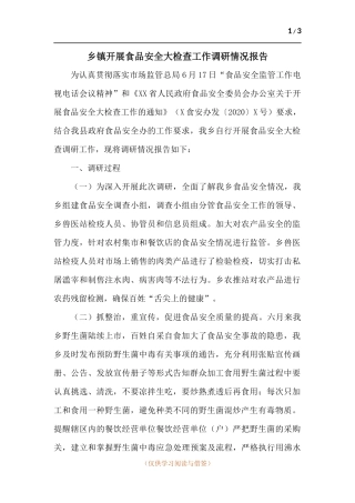 乡镇开展食品安全大检查工作调研情况报告.docx
