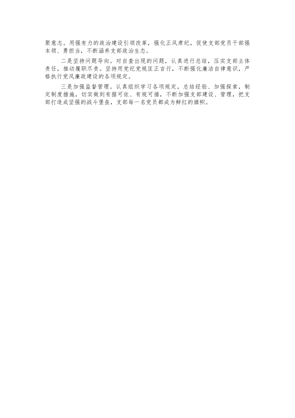 支部全面从严治党责任总结汇报.docx_第3页