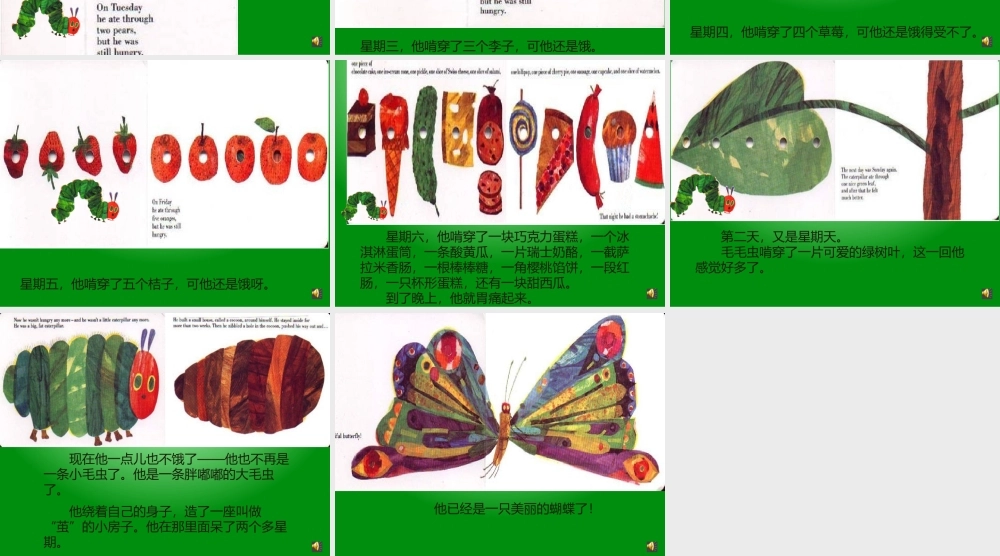 中班科学《好饿好饿的毛毛虫》微课件.pptx