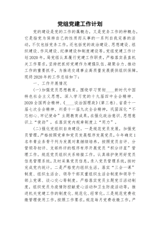 党组党建工作计划.doc