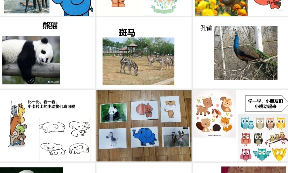 小班科学《逛动物园》微课件.pptx