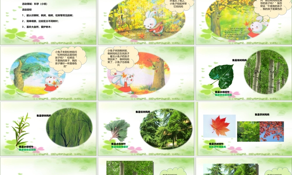 小班科学《多彩的树叶》微课件.ppt