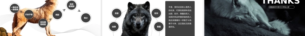 初中语文部编版七年级上册《狼》公开课教学课件PPT模板下载.pptx