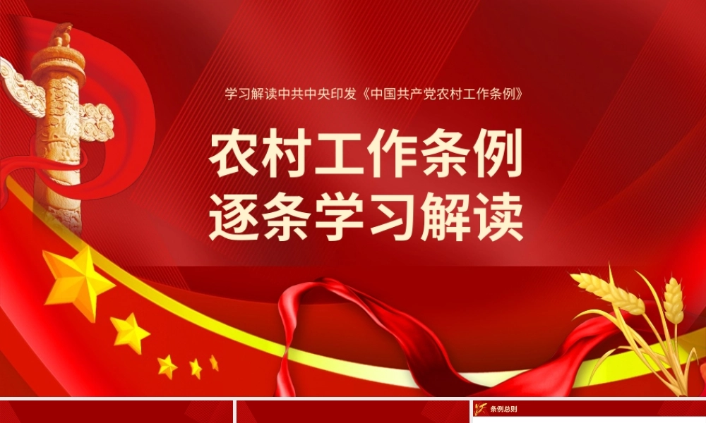 学习解读《中国共产党农村工作条例》模板.pptx