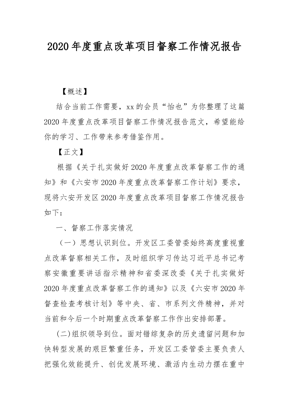 2020年度重点改革项目督察工作情况报告.docx_第1页
