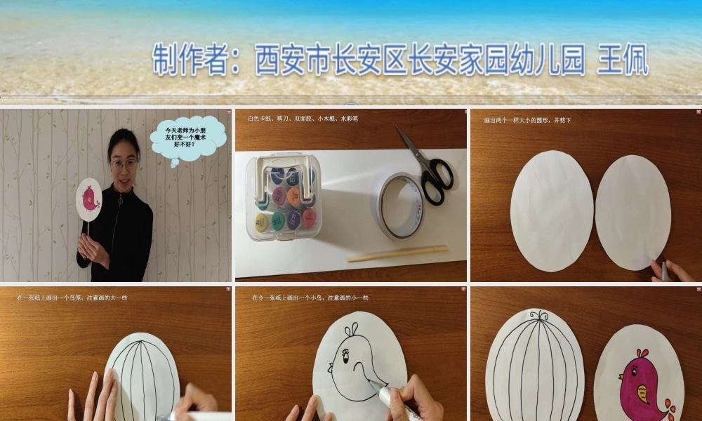 大班科学《小鸟进笼》微课件.ppt